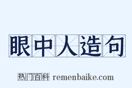 眼中人造句是什么意思的图片
